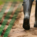 Wellies on a muddy path