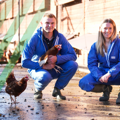 Oxbury New Gen customers, Callum James and Anna Lampitt of Haddon Farm