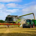 A tractor and a combine harvester working on a field 